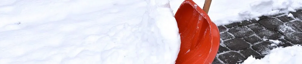 Trusted landscape design experts serving Johnson City, NY - TerraPro Landscapes