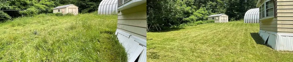 Top-rated lawn care service near you across Johnson City, NY - TerraPro Landscapes