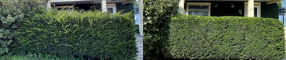 Expert residential landscaping in Johnson City, NY by TerraPro Landscapes