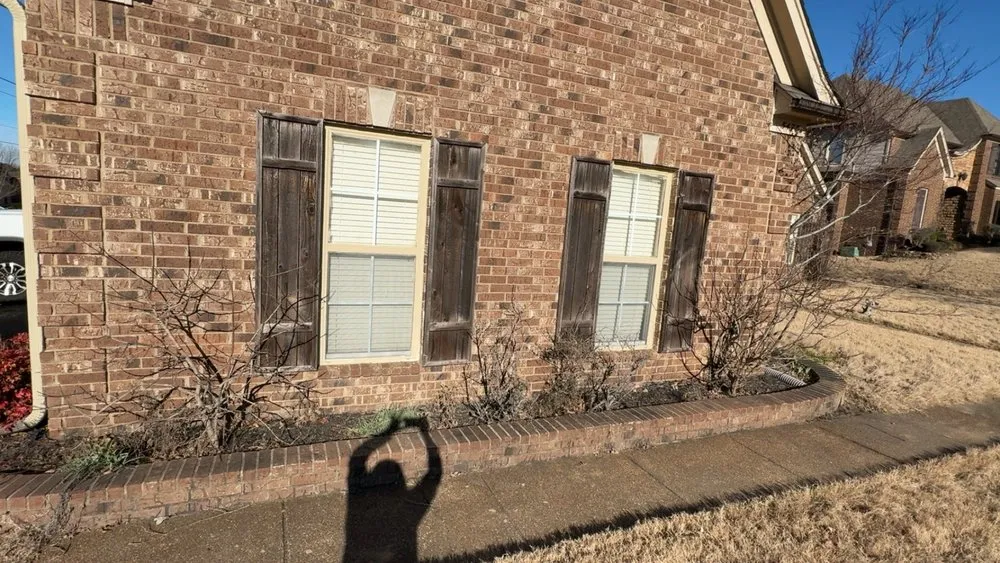 Local landscape design for residential properties across Arlington, TN - Terrarium Landscaping