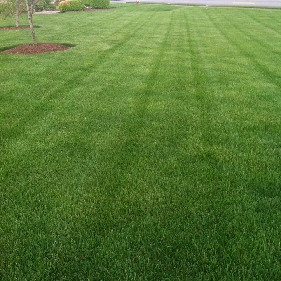 Trusted outdoor landscaping in Arlington, TN by Terrarium Landscaping