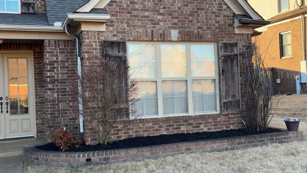 Trusted yard cleanup service for residential properties across Arlington, TN - Terrarium Landscaping