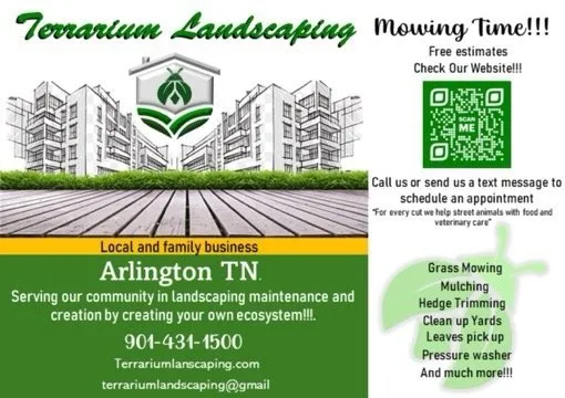 Expert garden landscaping for outdoor upgrades across Arlington, TN - Terrarium Landscaping