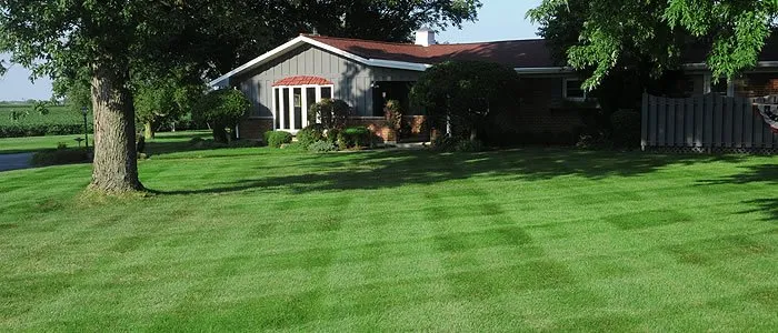 Top-rated residential landscaping for year-round maintenance in Arlington, TN by Terrarium Landscaping