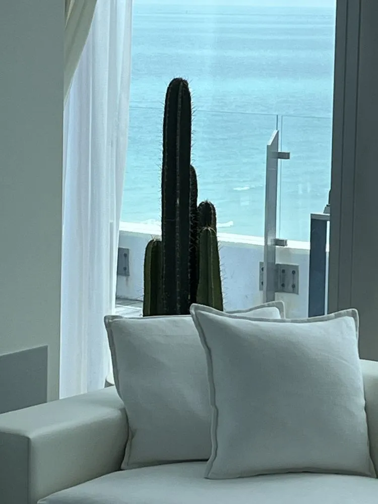 Top-rated landscape design experts serving Miami, FL - Terrariums For All