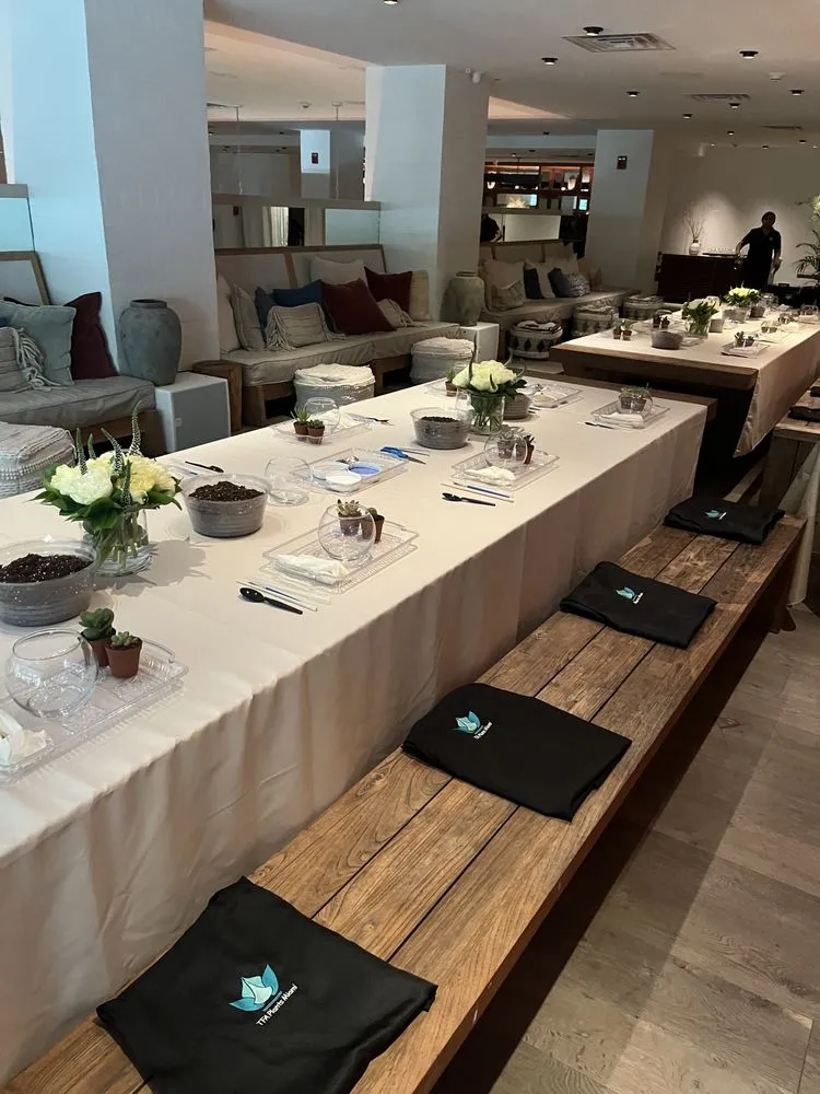 Reliable outdoor landscaping in Miami, FL - Terrariums For All