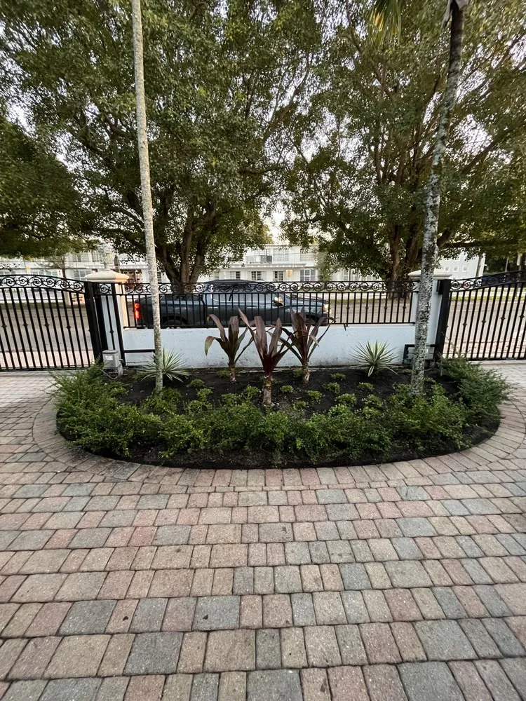 Expert yard maintenance in Miami, FL - Terrariums For All