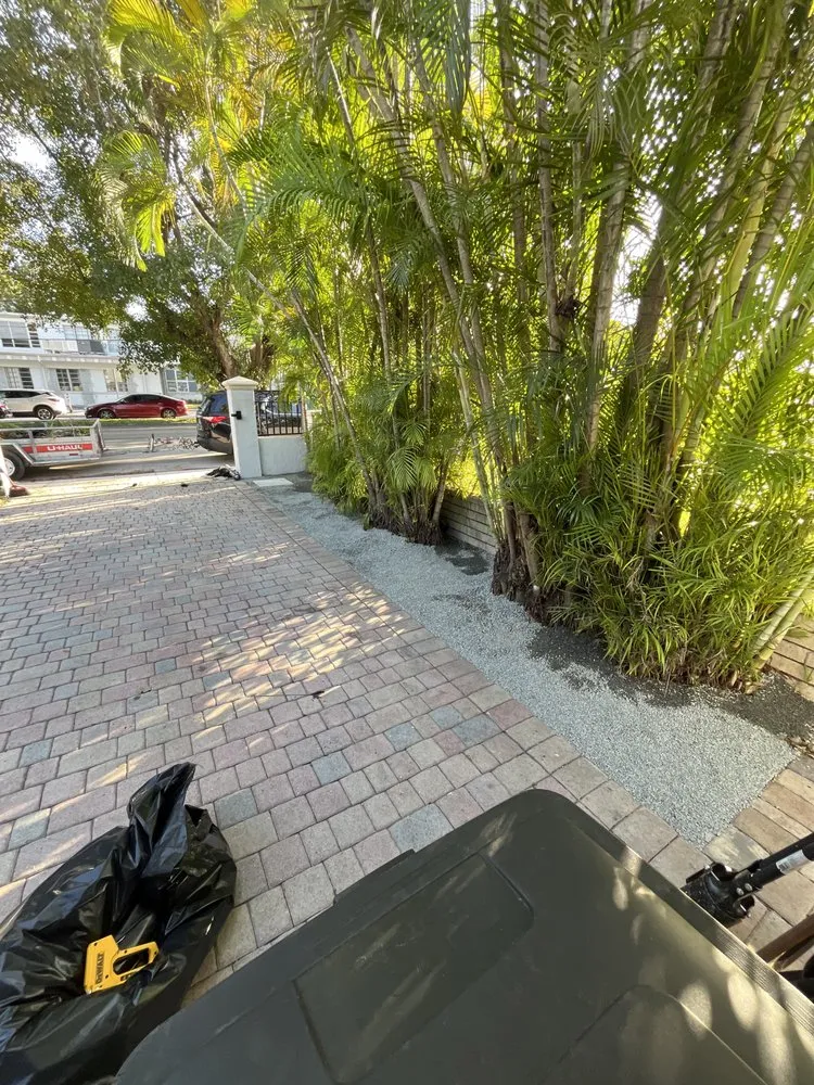 Reliable yard maintenance in Miami, FL by Terrariums For All