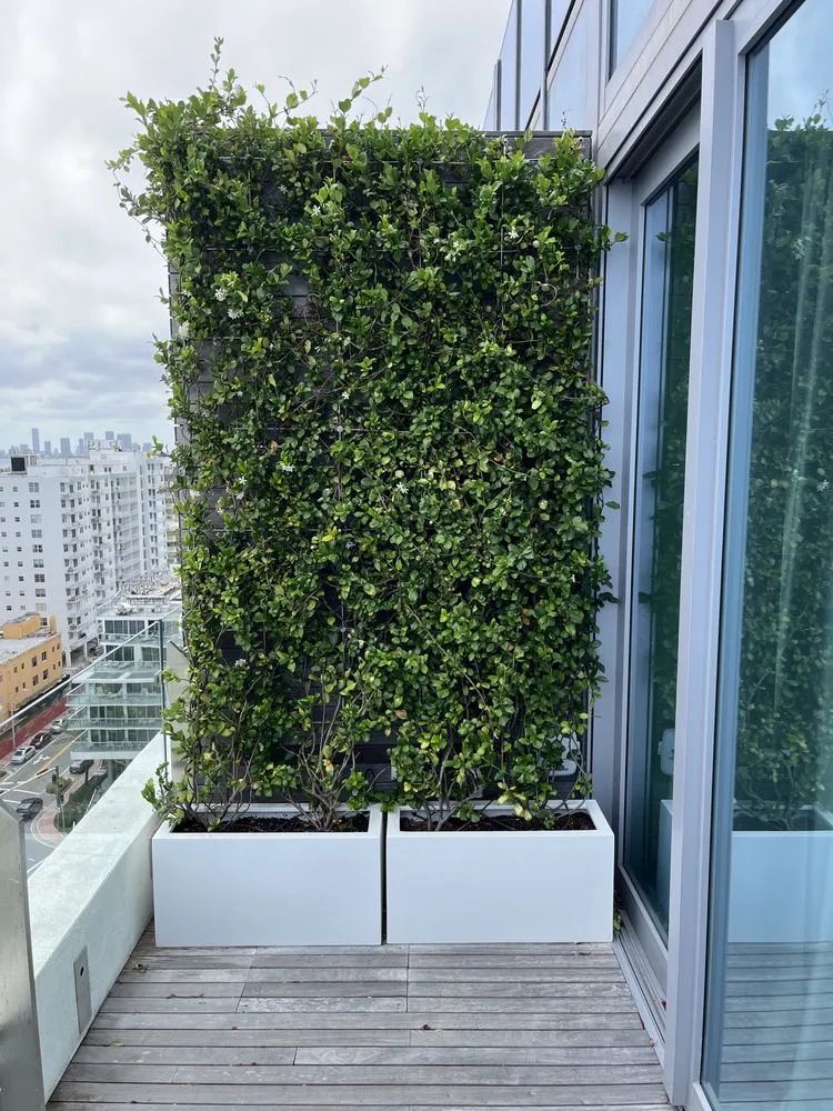 Custom yard maintenance in Miami, FL - Terrariums For All