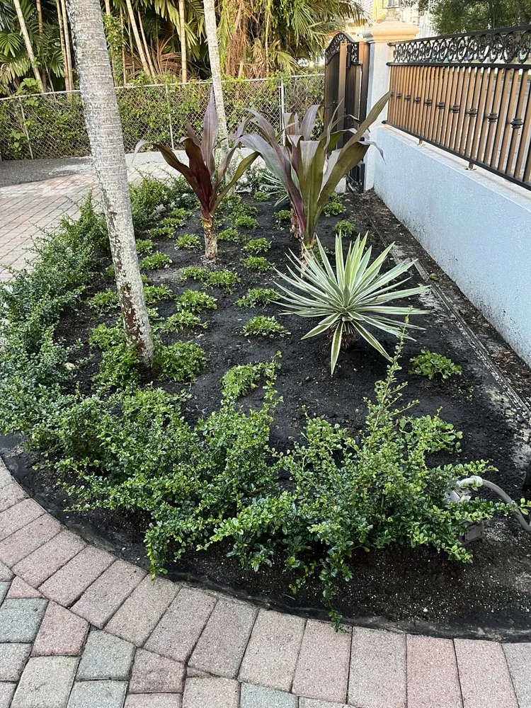 Local residential landscaping near you across Miami, FL - Terrariums For All