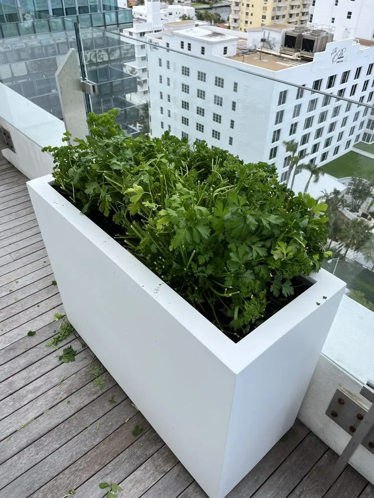 Local landscape installation for beautiful yards in Miami, FL by Terrariums For All