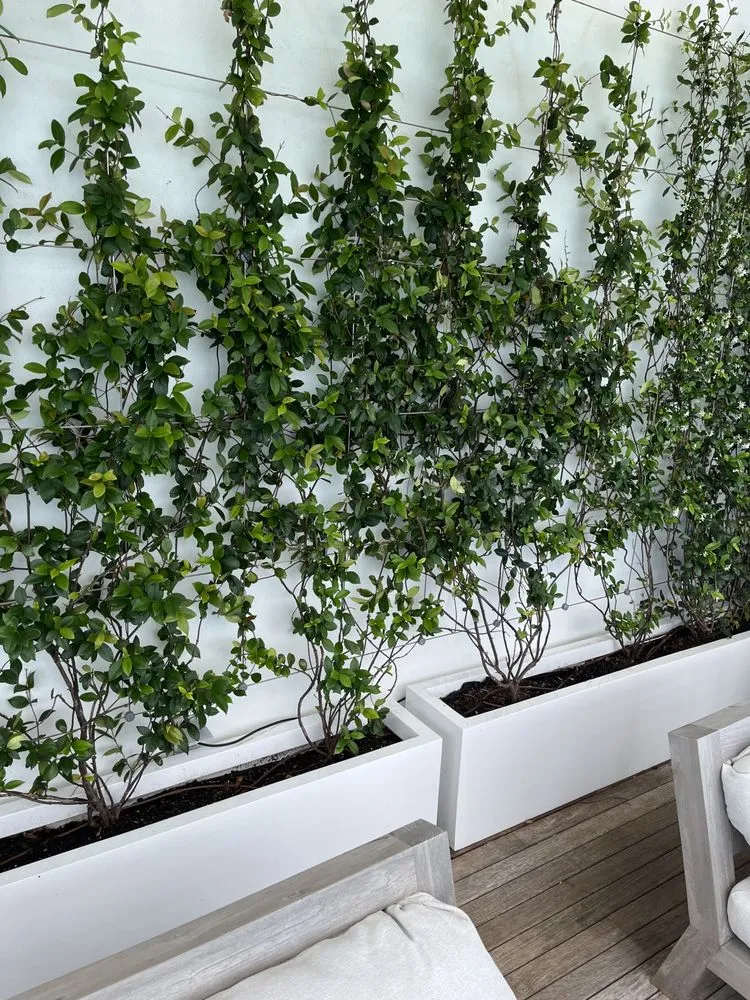 Local landscape design experts serving Miami, FL - Terrariums For All