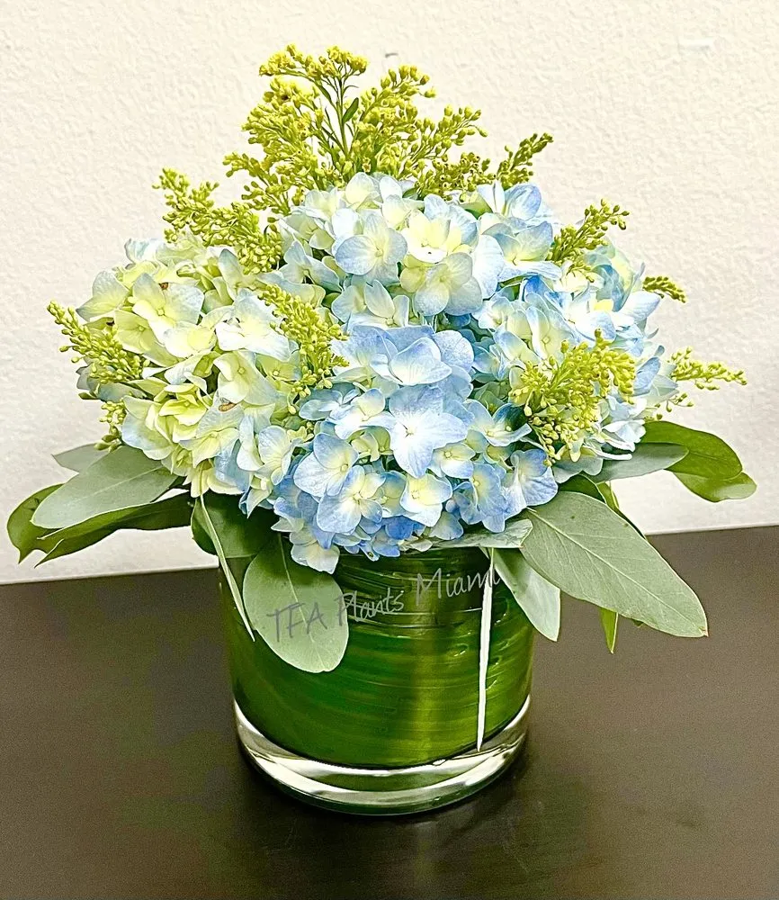 Reliable landscaping services for outdoor upgrades across Miami, FL - Terrariums For All