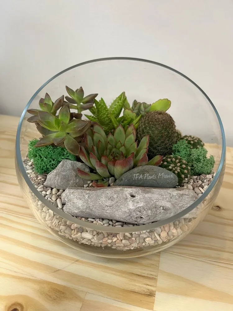 Top-rated lawn mowing service in Miami, FL by Terrariums For All