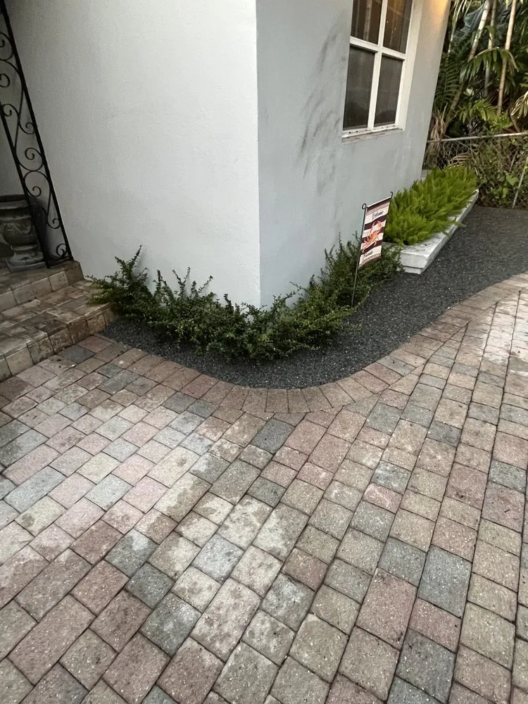 Local lawn care service with custom design in Miami, FL by Terrariums For All