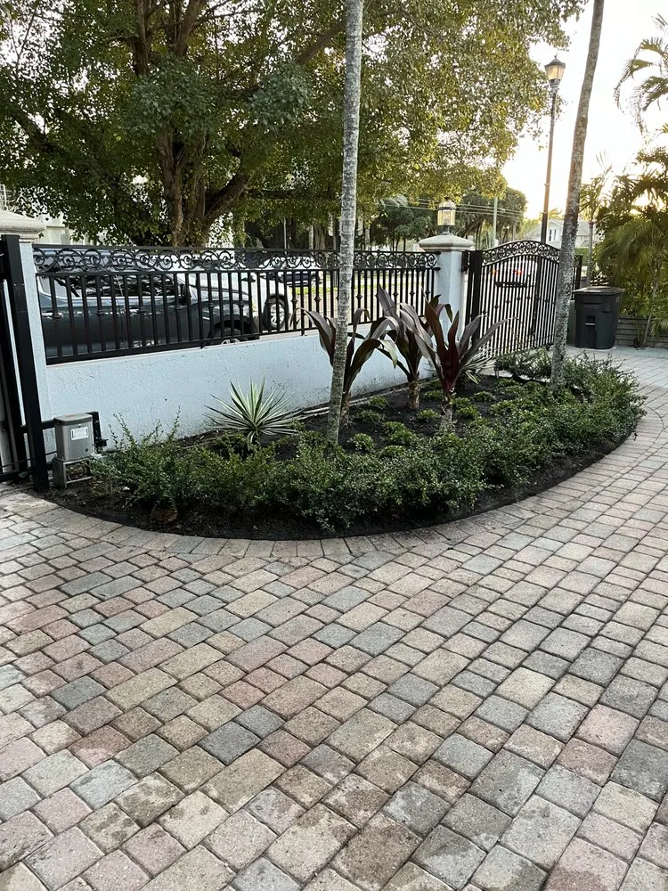 Reliable landscape installation in Miami, FL by Terrariums For All
