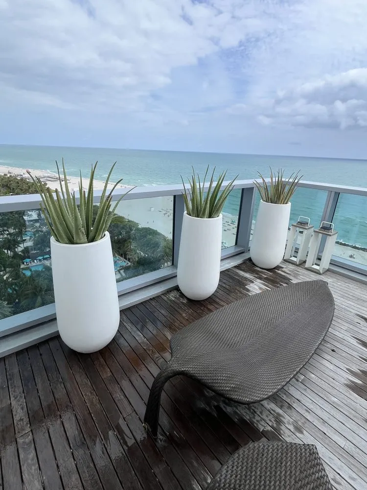 Affordable residential landscaping experts serving Miami, FL - Terrariums For All