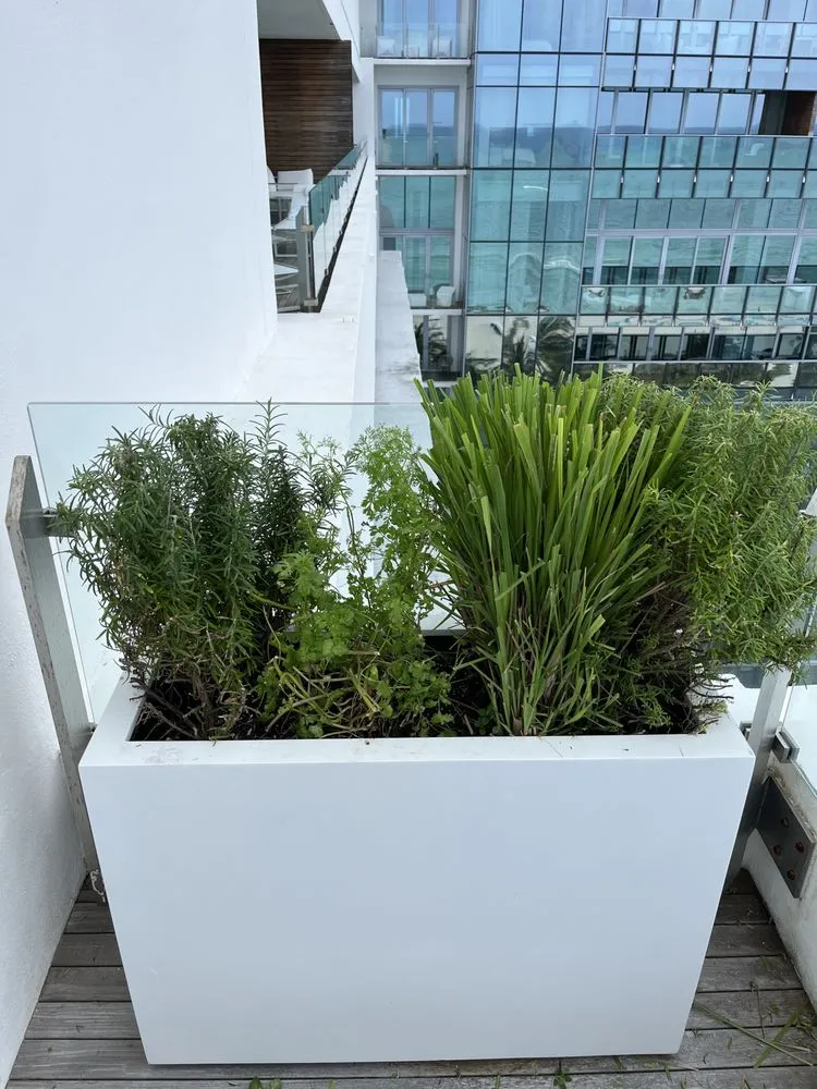 Reliable landscaping services for residential properties across Miami, FL - Terrariums For All