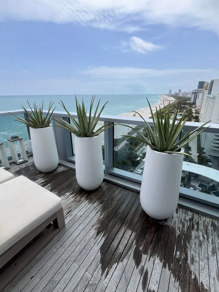 Top-rated landscape installation with custom design in Miami, FL by Terrariums For All