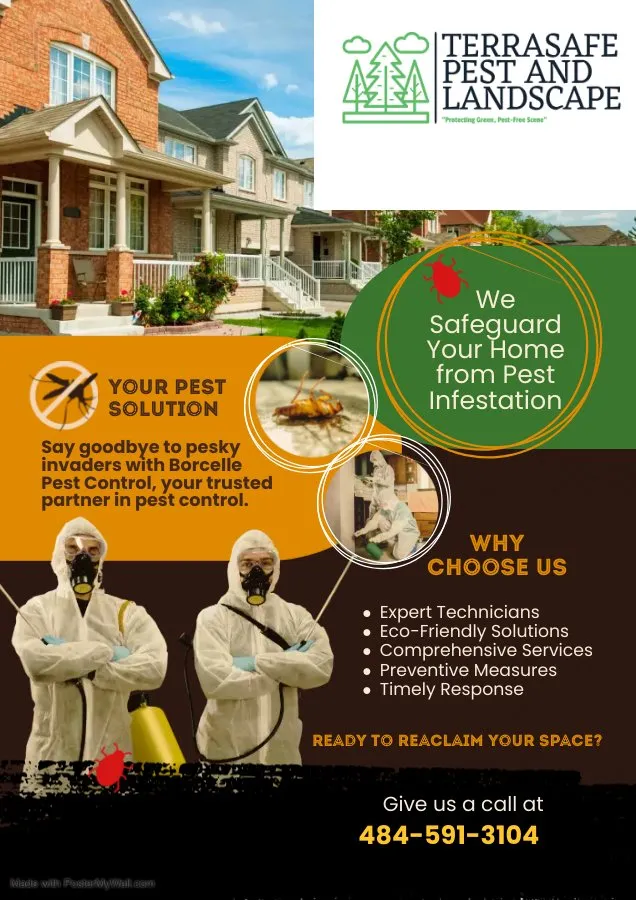 Affordable lawn care service in Reading, PA - TerraSafe Pest & Landscape