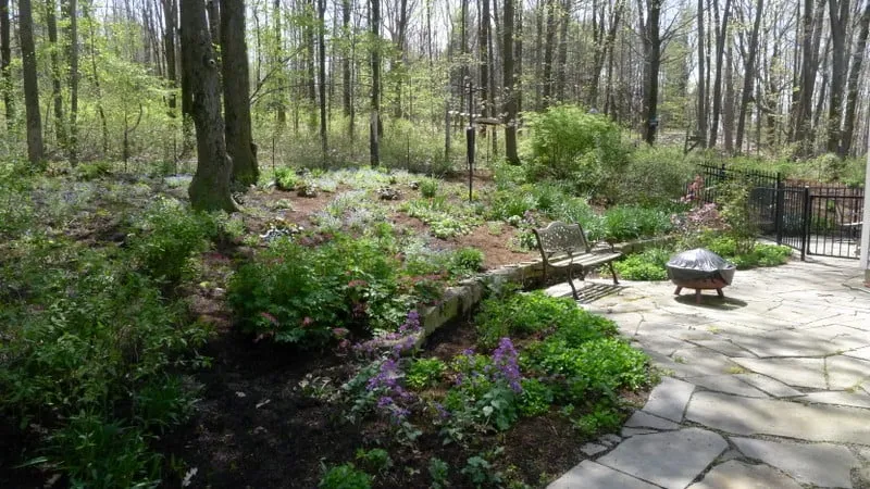 Affordable yard cleanup service for year-round maintenance across Ithaca, NY - Terrasana Landscaping