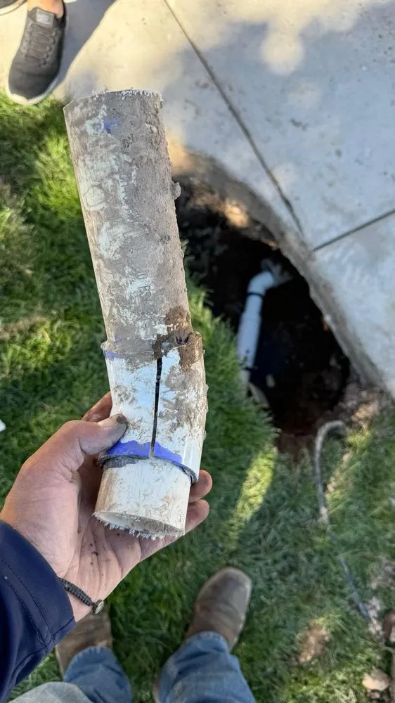 Reliable garden landscaping with custom design in Murray, UT by TerraScape Construction And Landscaping