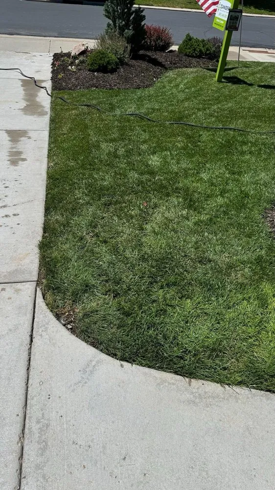 Top-rated outdoor landscaping for outdoor upgrades in Murray, UT by TerraScape Construction And Landscaping