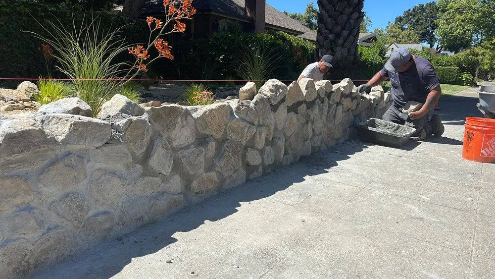 Trusted yard maintenance in Penngrove, CA by Terrascape Creations