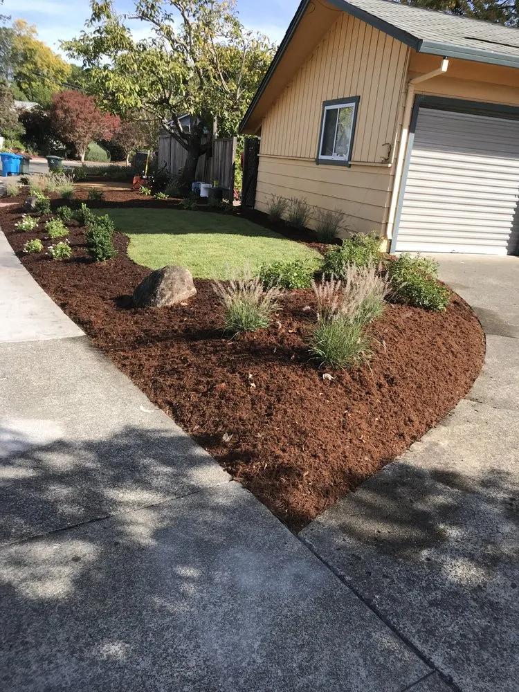 Professional lawn mowing service for year-round maintenance across Penngrove, CA - Terrascape Creations