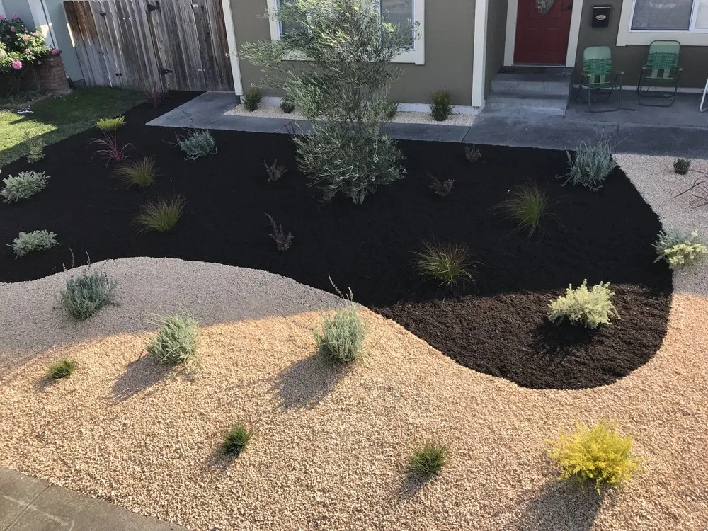 Reliable lawn care service in Penngrove, CA by Terrascape Creations