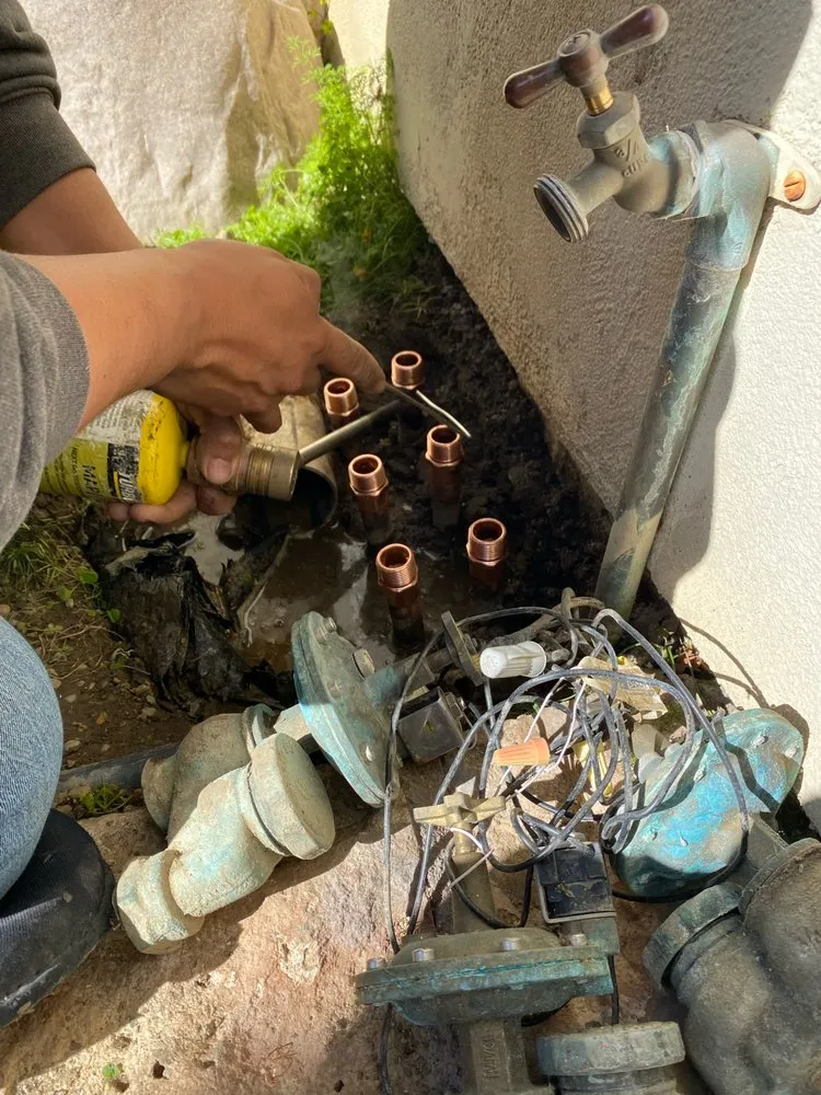 Trusted yard cleanup service experts serving Tustin, CA - Terrascape Landscaping