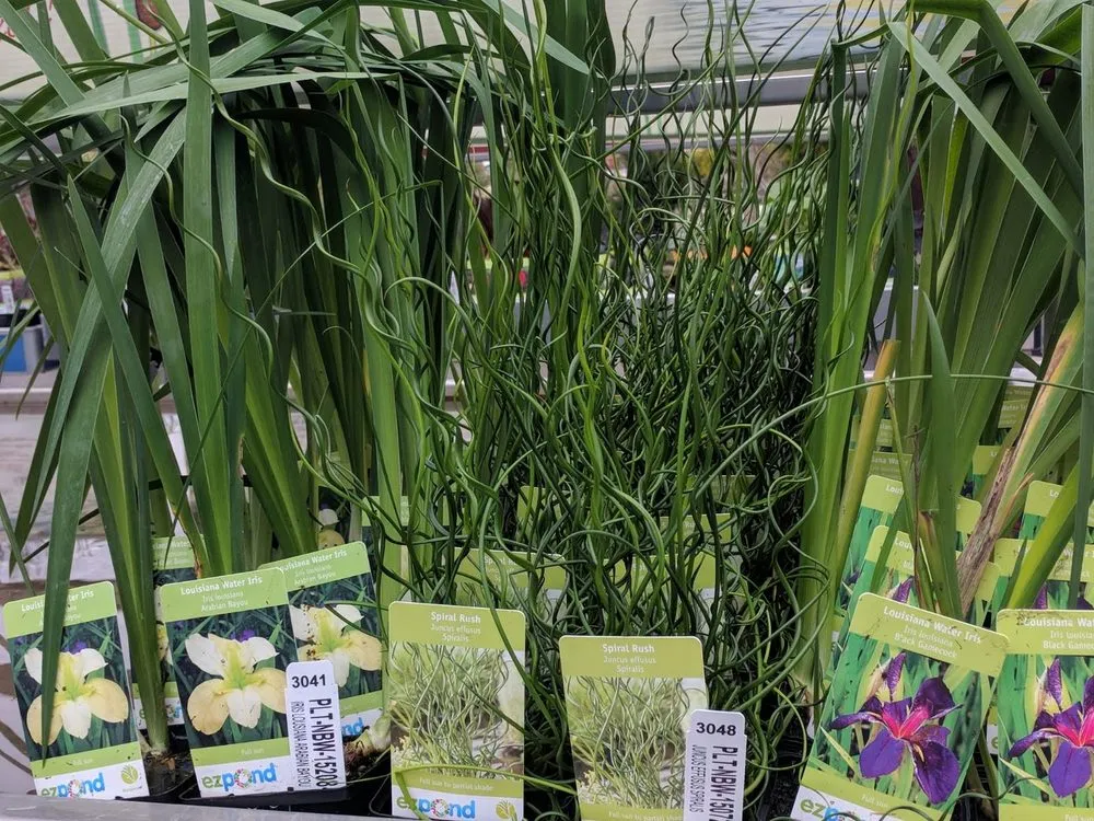 Professional landscaping services for outdoor upgrades across Hollidaysburg, PA - Terrascape Supply