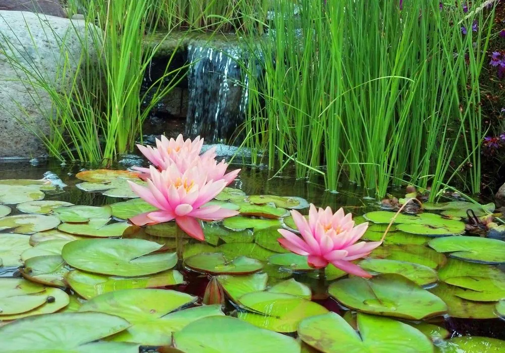 Reliable landscape installation with custom design in Hollidaysburg, PA by Terrascape Supply