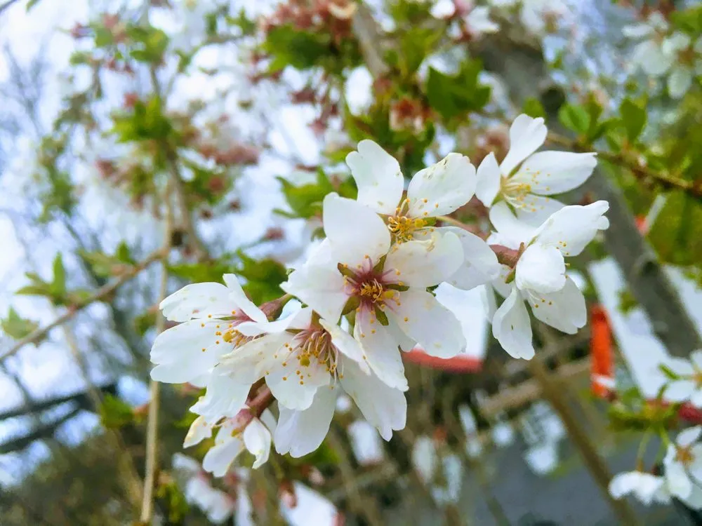 Reliable landscape design in Hollidaysburg, PA by Terrascape Supply