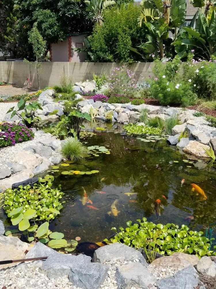 Custom outdoor landscaping in Huntington Beach, CA by Terrascapes