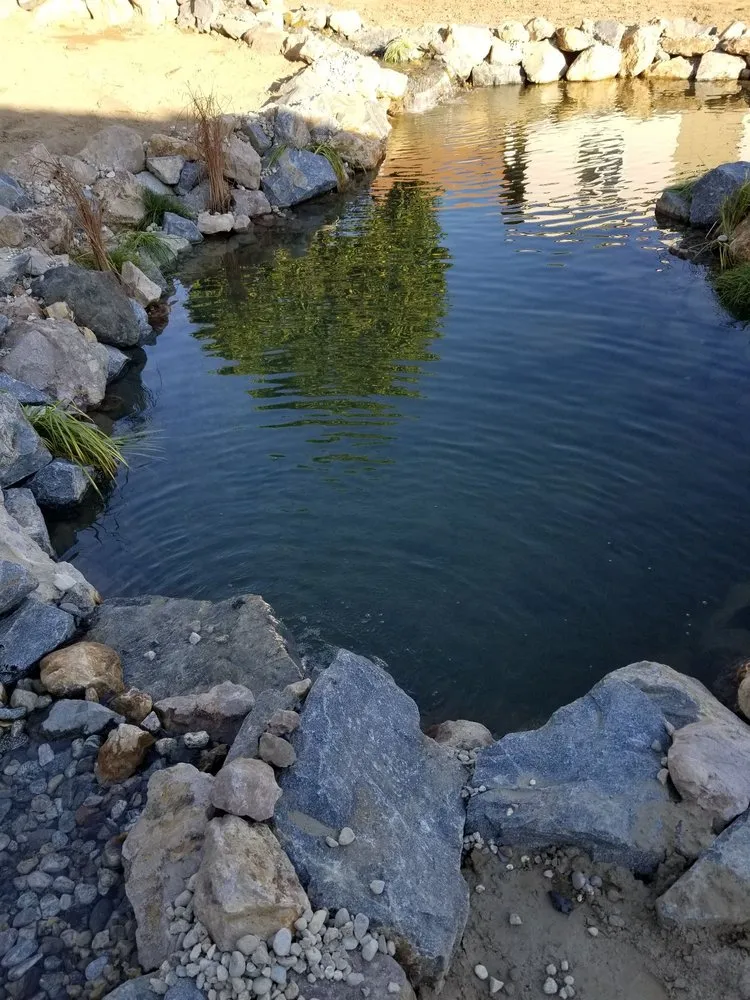 Local yard maintenance in Huntington Beach, CA by Terrascapes