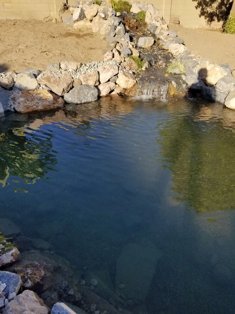 Professional lawn mowing service with custom design in Huntington Beach, CA by Terrascapes