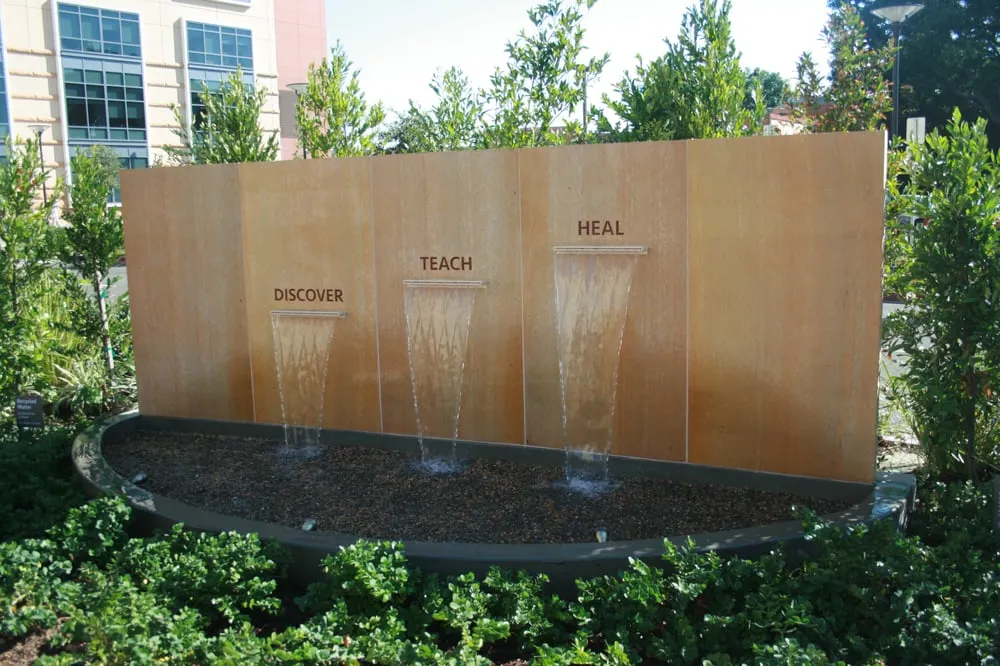 Reliable lawn care service in Huntington Beach, CA by Terrascapes