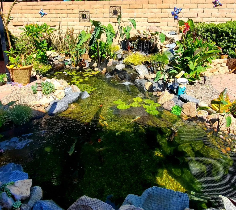 Professional outdoor landscaping in Huntington Beach, CA - Terrascapes