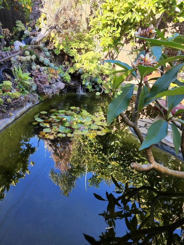 Trusted residential landscaping in Huntington Beach, CA by Terrascapes