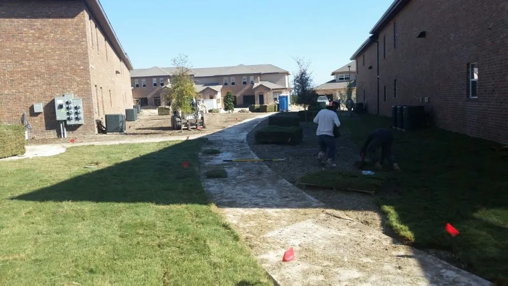 Custom landscape installation in Hutto, TX by Terrascapes