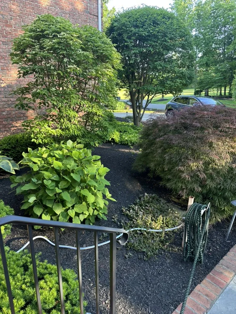 Top-rated lawn mowing service for outdoor upgrades in Chagrin Falls, OH by Terrascapes Lawn Services