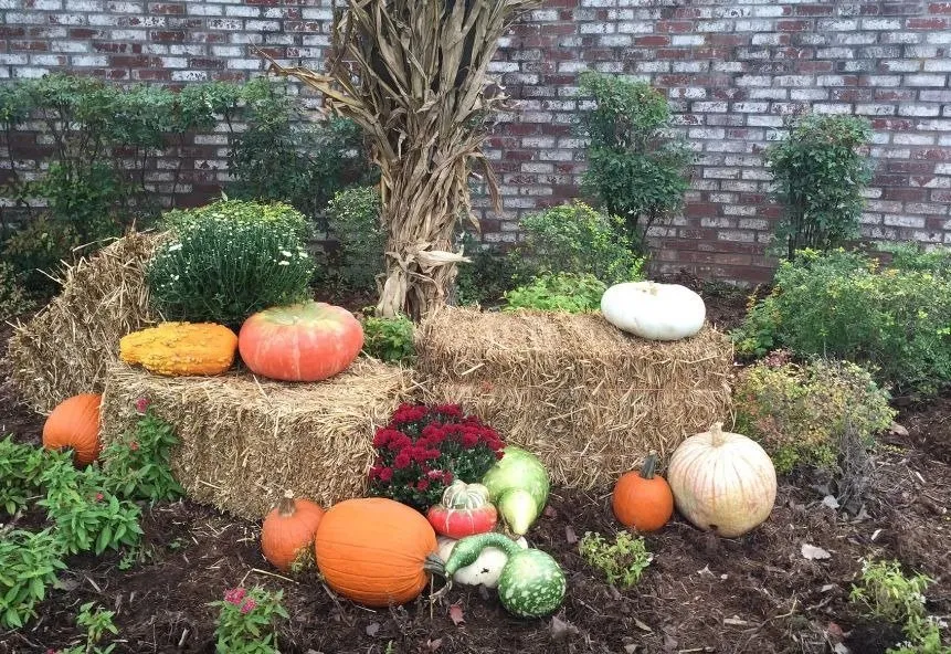 Reliable landscaping services in Oklahoma City, OK by Terrascapes