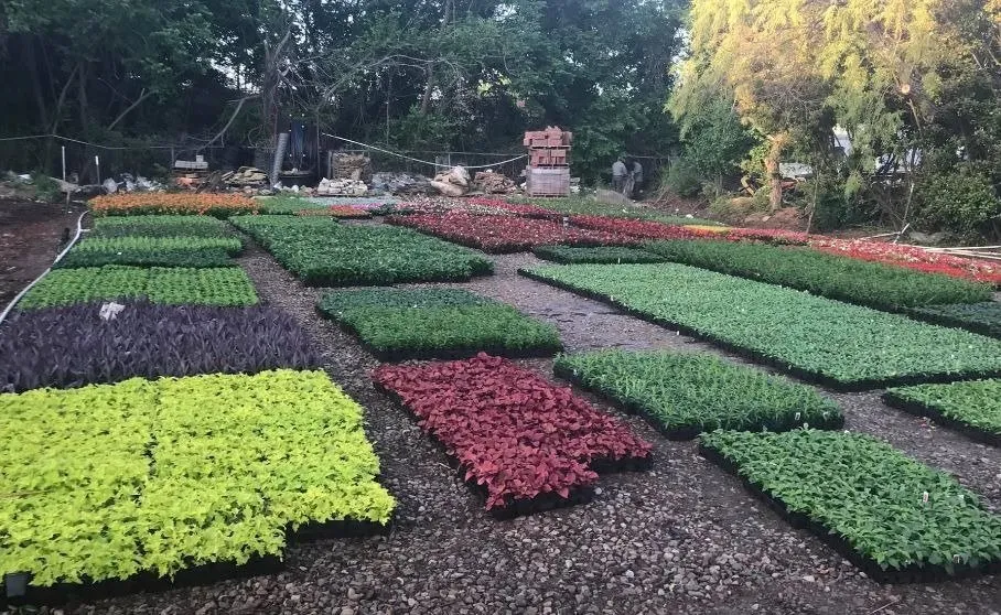 Professional yard cleanup service for outdoor upgrades in Oklahoma City, OK by Terrascapes