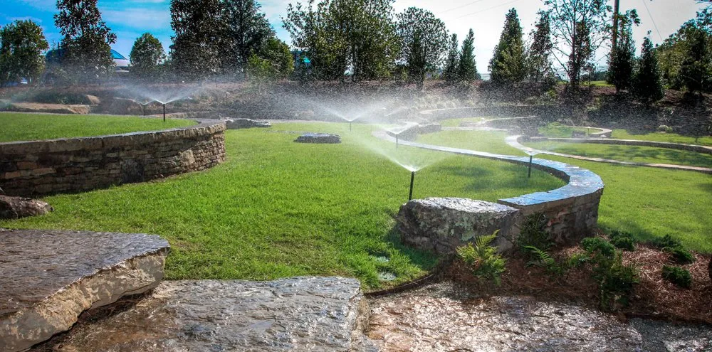 Professional yard cleanup service in Raleigh, NC - TerraScapes