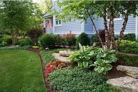Expert yard cleanup service experts serving Raleigh, NC - TerraScapes