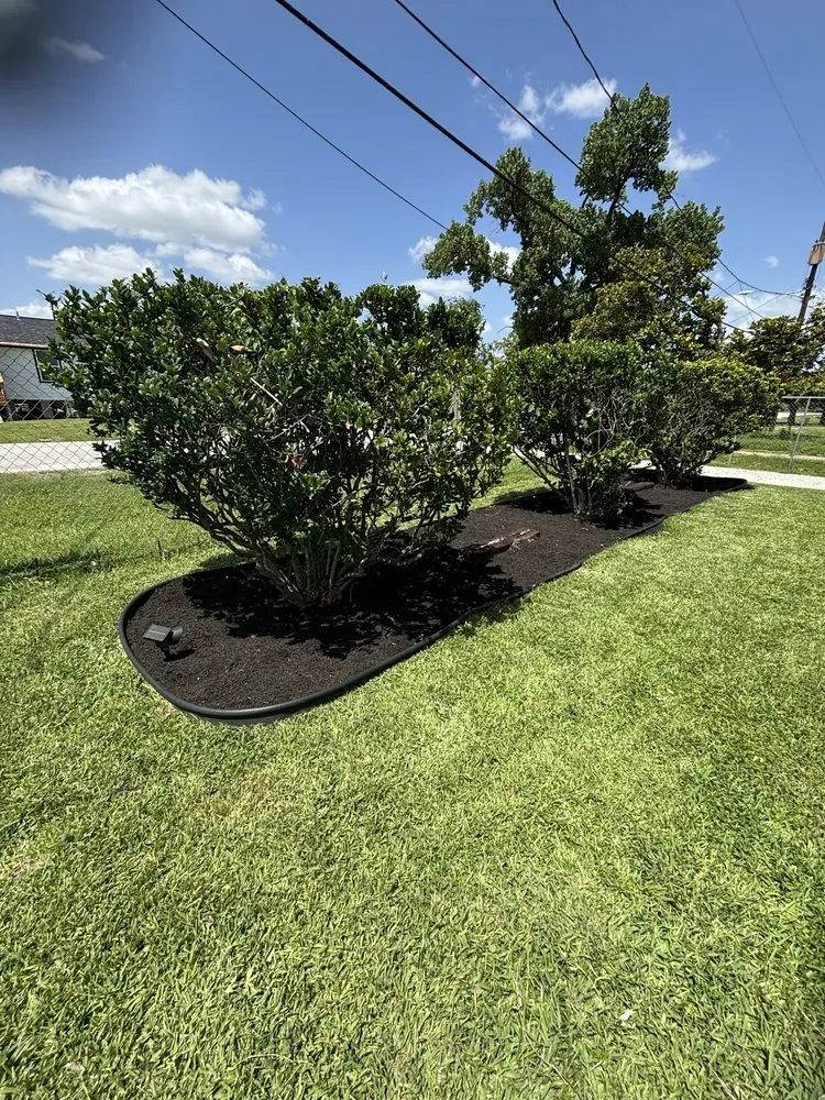 Expert outdoor landscaping for beautiful yards in Houston, TX by TerraScapes Services