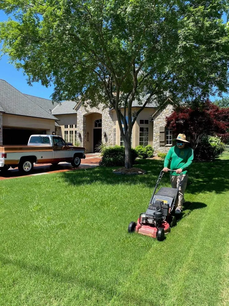 Custom yard maintenance in Houston, TX - TerraScapes Services