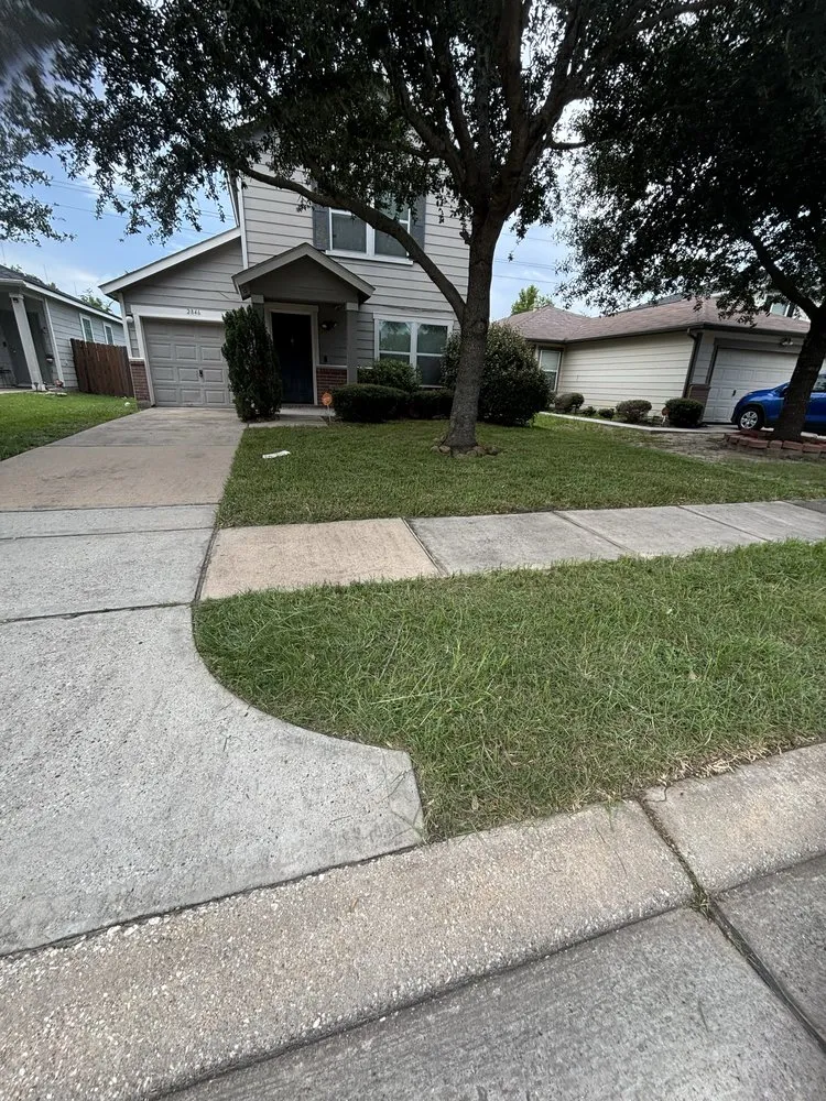 Affordable landscape installation in Houston, TX by TerraScapes Services