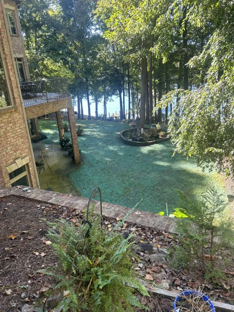 Reliable landscape installation in Catawba, NC by TerraSeed